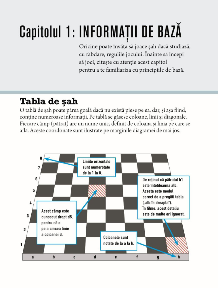 Biblia jucatorului de sah [5]