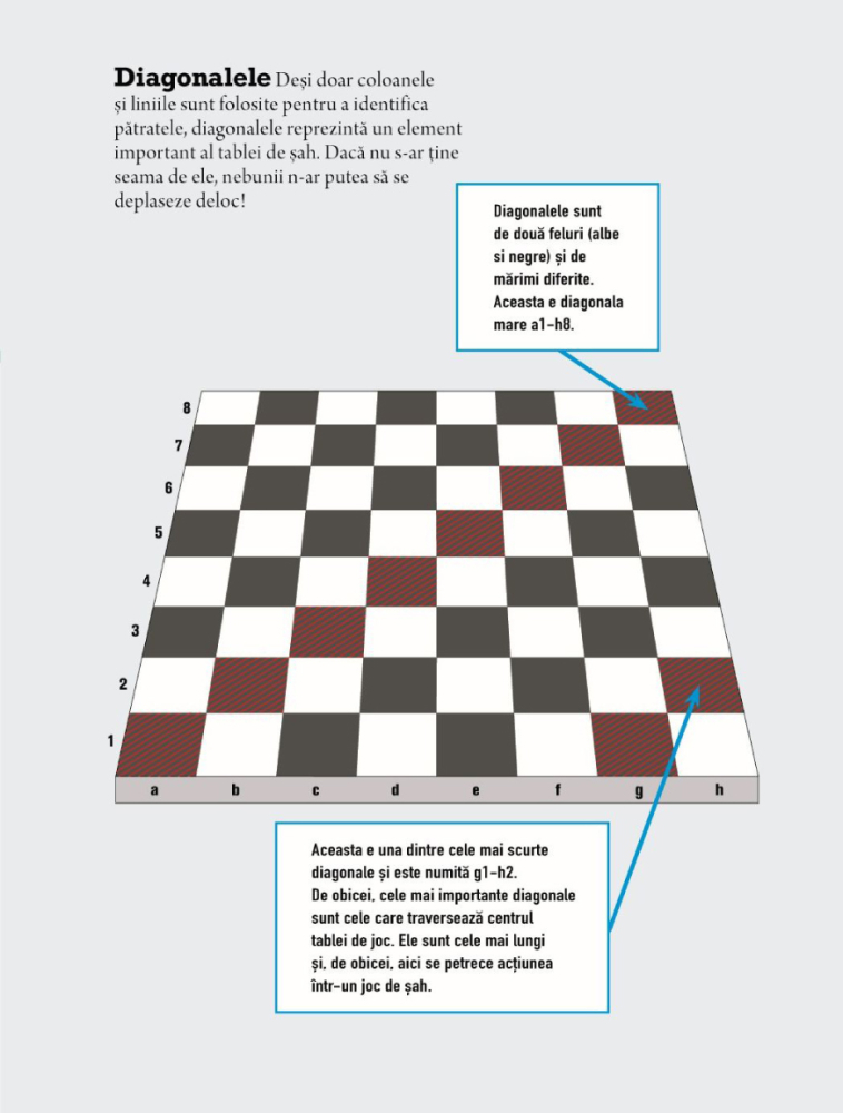 Biblia jucatorului de sah [6]