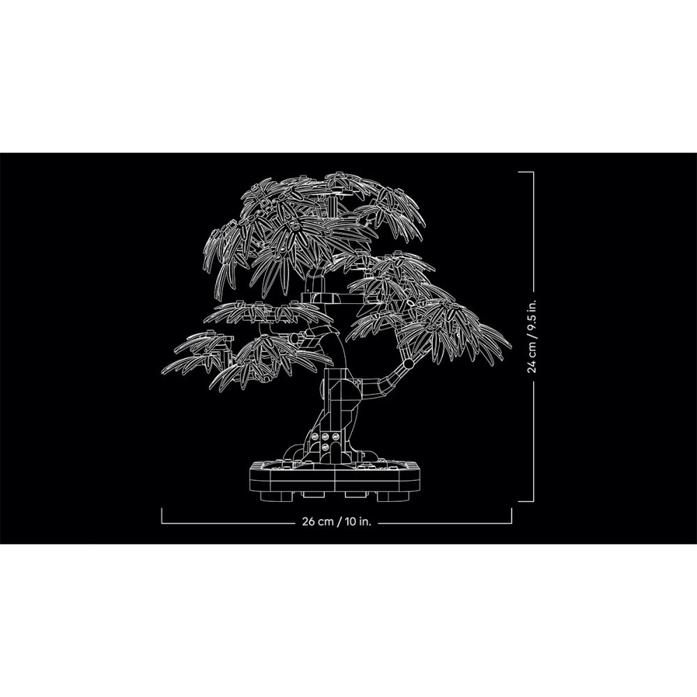 Bonsai de artar japonez rosu - Ambalaj deteriorat [9]