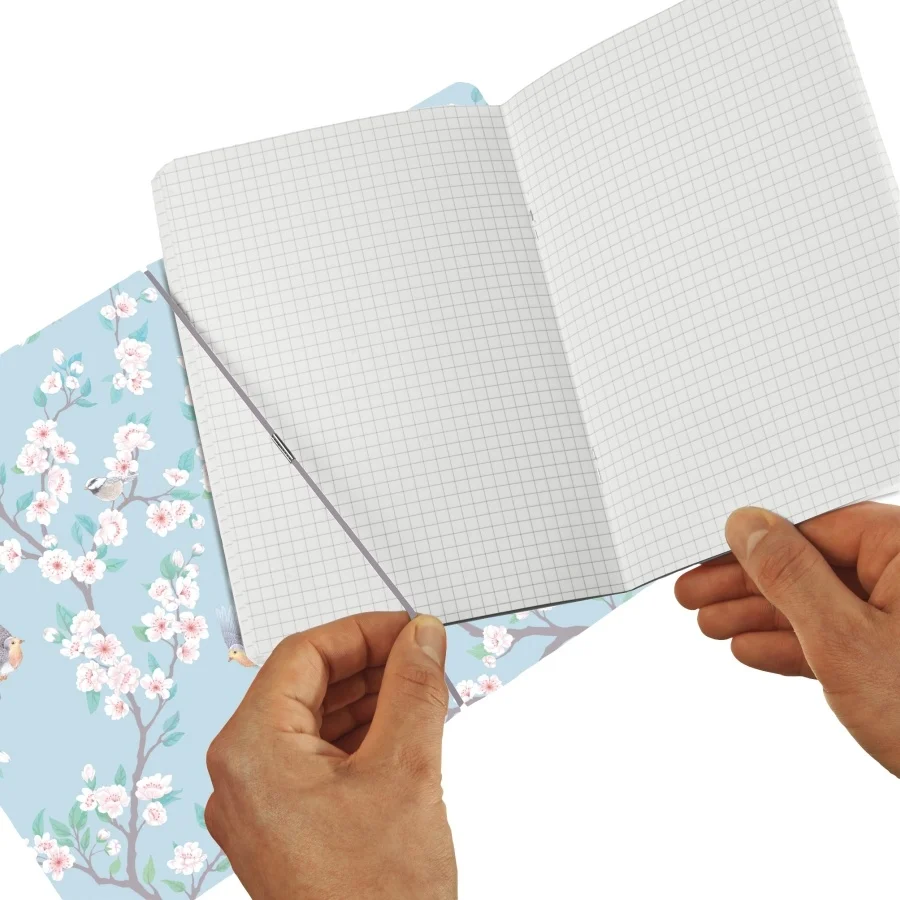 CAIET MY.BOOK FLEX A6 40F DICTANDO LADYLIKE BIRDS [3]