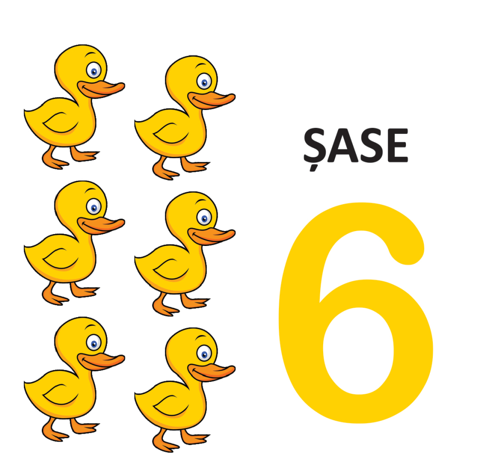 Cifre si culori – Carte pliata cartonata 0-2 ani DPH [4]