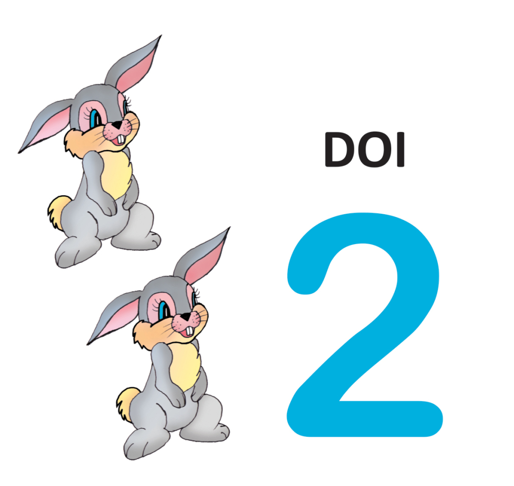 Cifre si culori – Carte pliata cartonata 0-2 ani DPH [3]