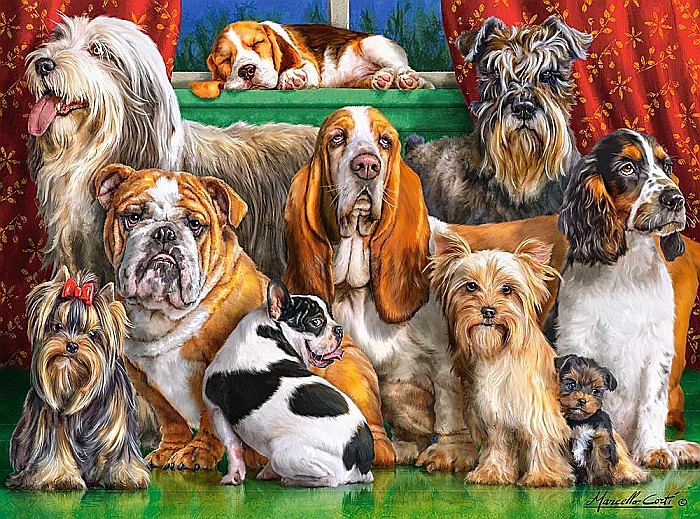 Puzzle 3000 piese Clubul Cateilor 300501 [2]