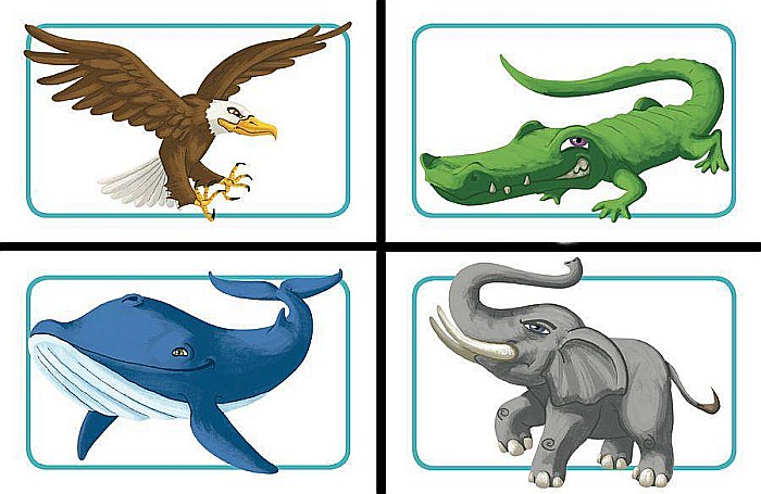 Concept Kids: Animals [3]