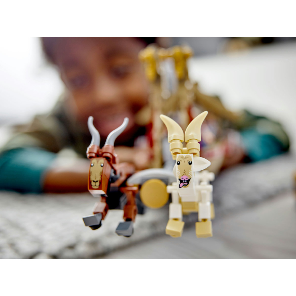 Corabia lui Thor [5]