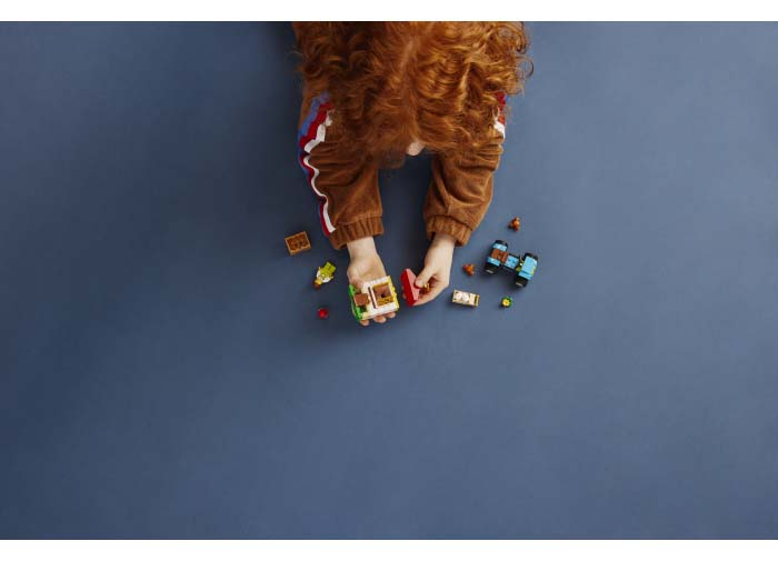 Cotetul gainilor [4]