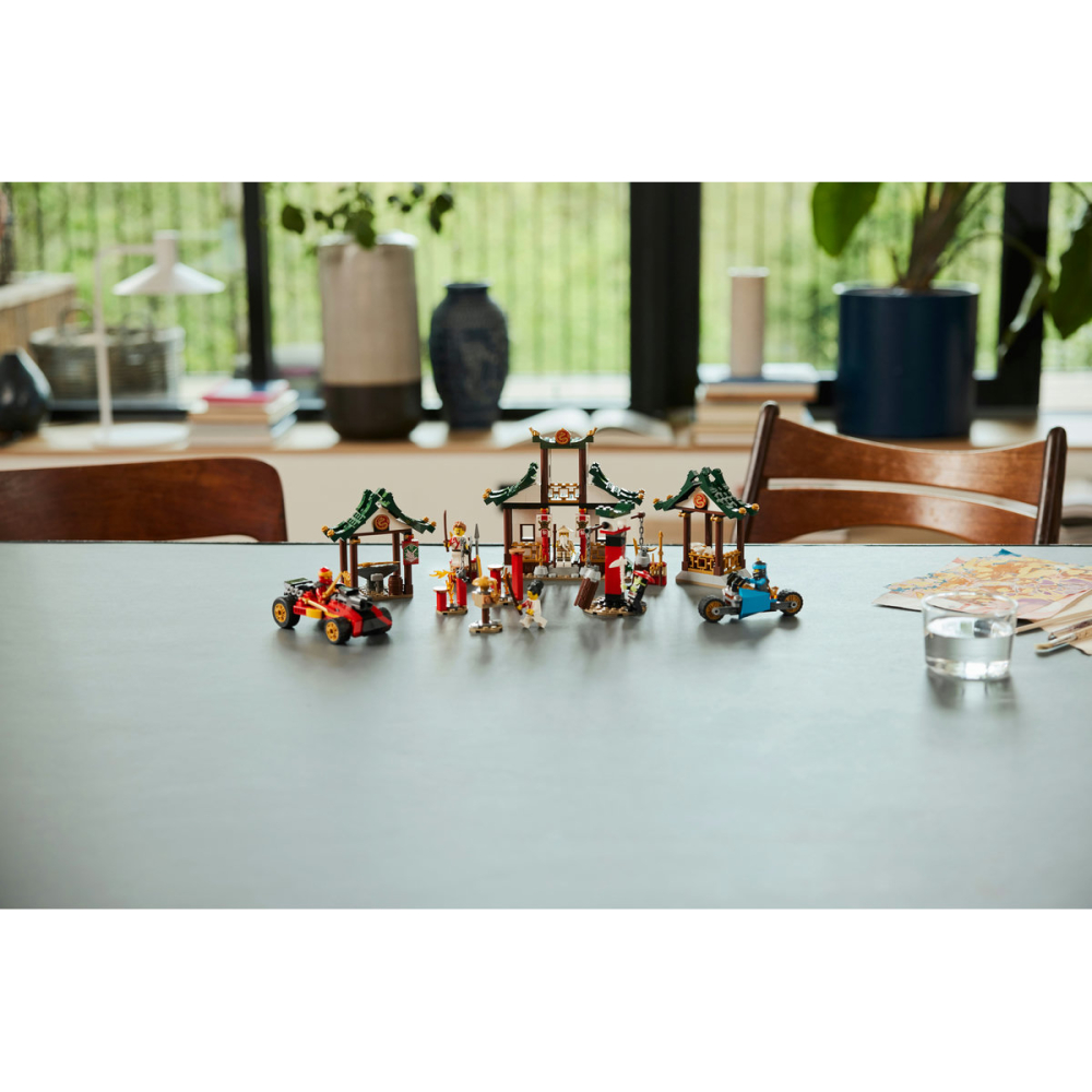 Cutie Ninja cu caramizi [6]