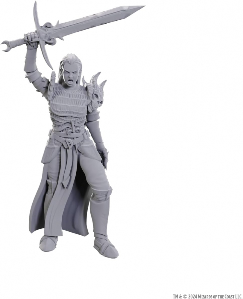 D&D Nolzur’s Marvelous Miniatures – Blackguard [1]