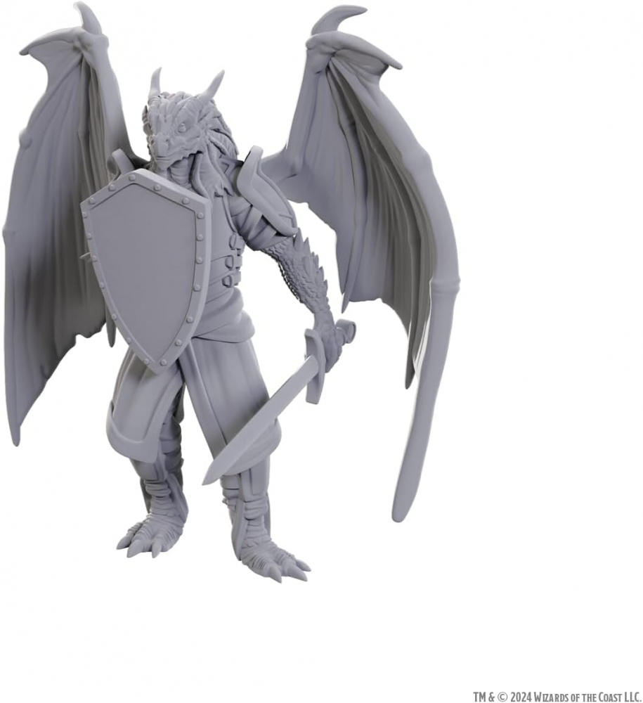 D&D Nolzur’s Marvelous Miniatures – Dragonborn of Bahamut [1]