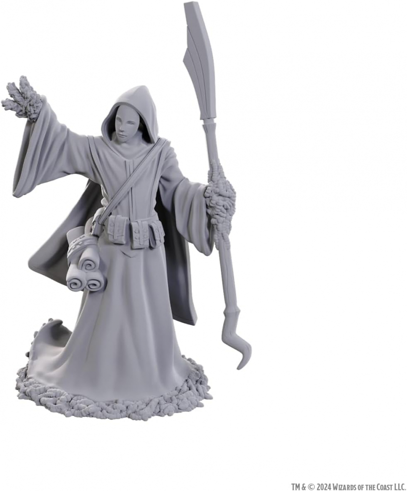 D&D Nolzur’s Marvelous Miniatures – Star Spawn Larva Mage [1]