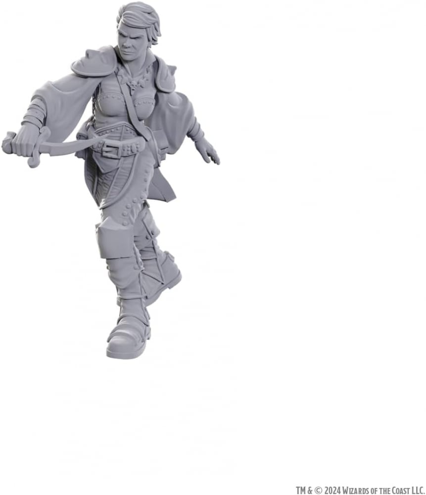 D&D Nolzur’s Marvelous Miniatures – Swashbuckler [1]