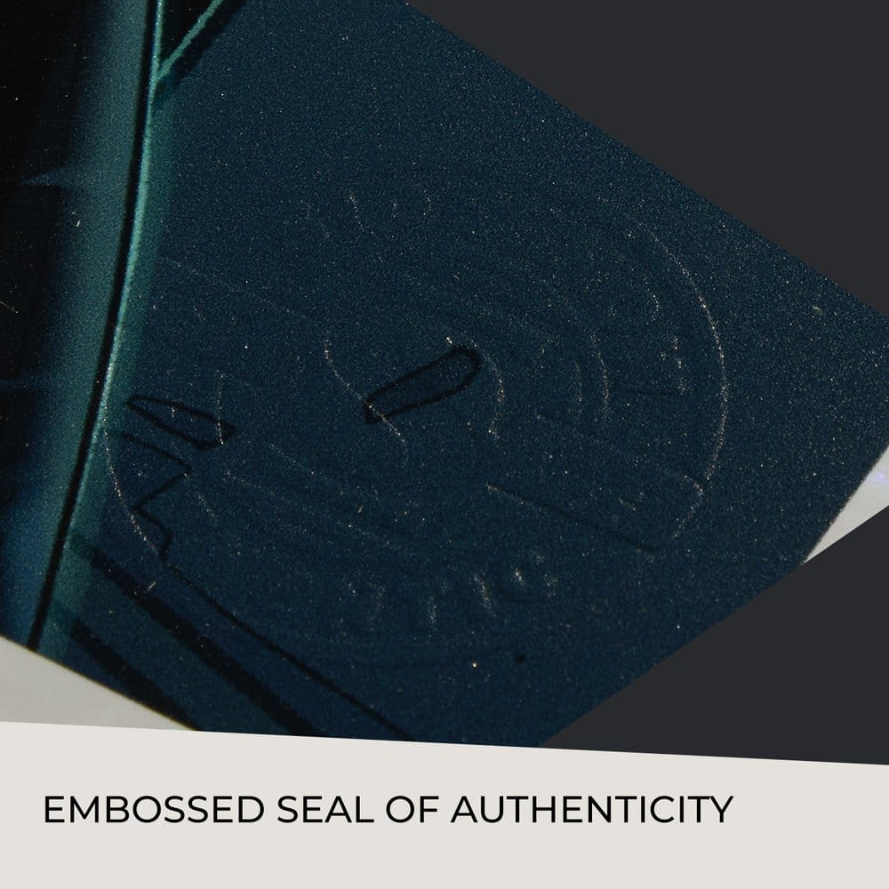 DC Comics Art Print Catwoman: Nine Lives 61 x 41 cm - unframed [5]