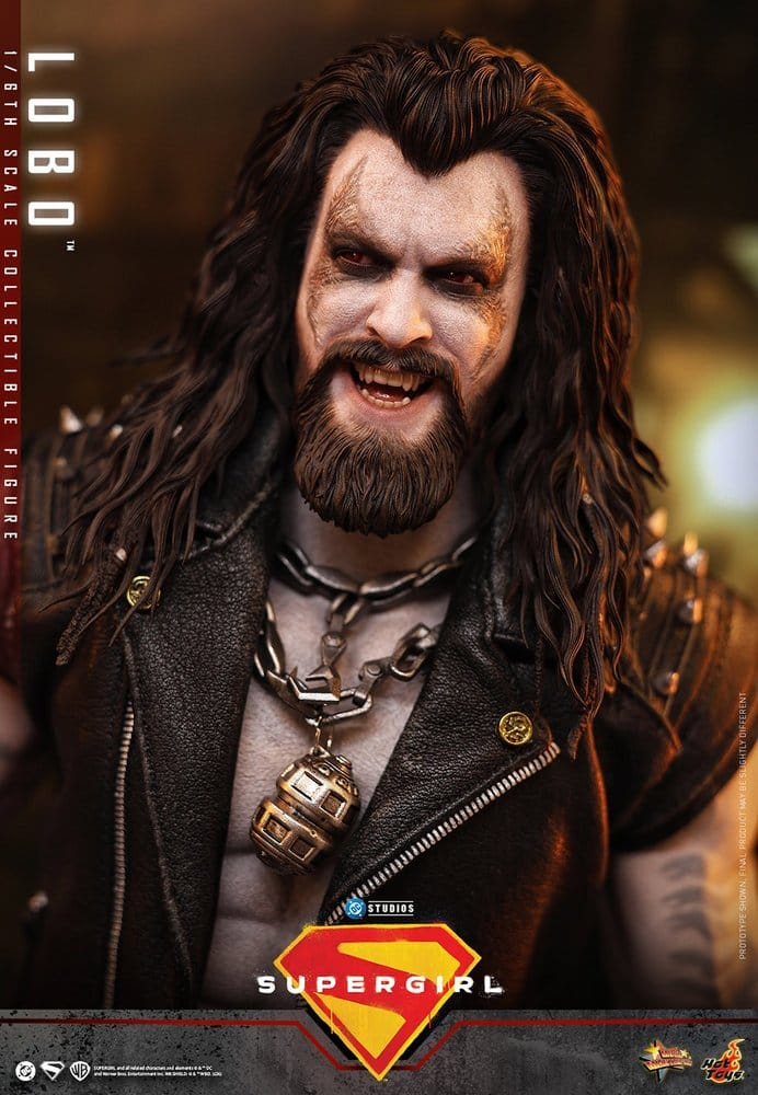 DC Comics Movie Masterpiece Action Figure 1/6 Lobo 33 cm [12]