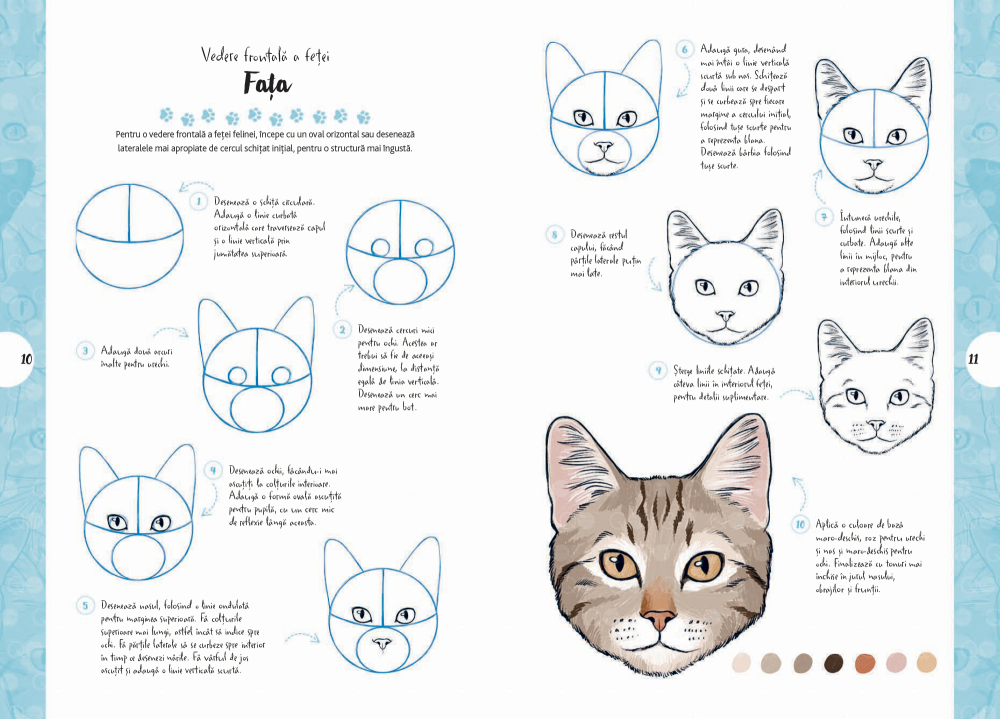 Desen in 10 pasi: Pisici – Ghid desen 7+ ani [2]