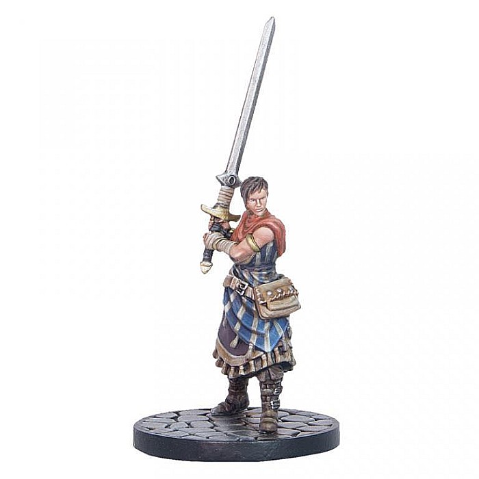 Dungeons and Dragons Collectors Series Miniatures - Force Grey [3]