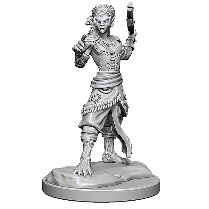 Dungeons & Dragons Nolzurs Marvelous Miniatures: Shifter Fighter [1]