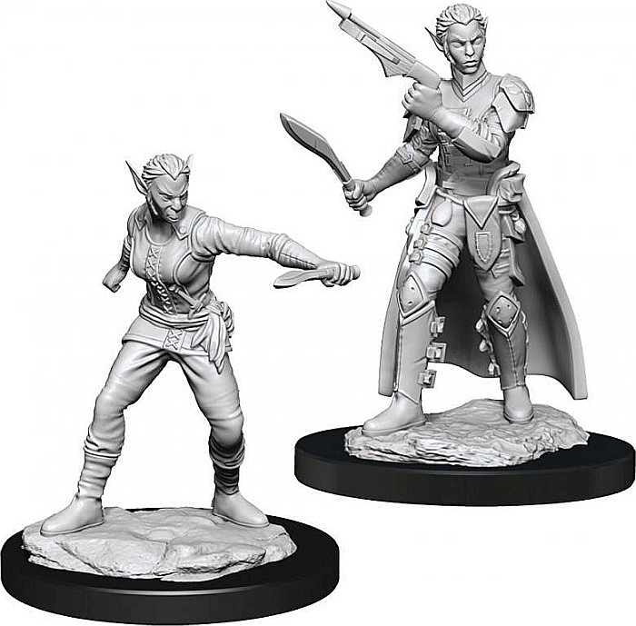 Dungeons & Dragons - Nolzurs Marvelous Miniatures - Shifter Rogue Female [1]
