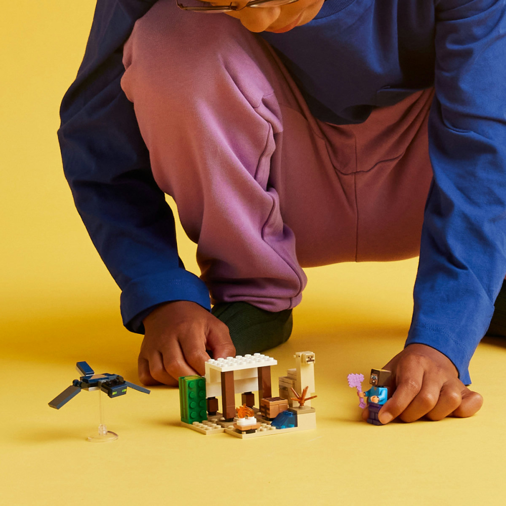 Expeditia lui Steve in desert [6]