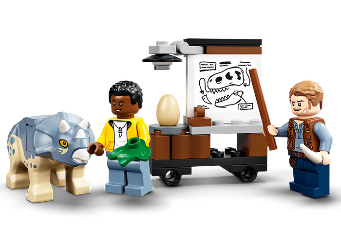 Expozitia de fosile de T. Rex [6]