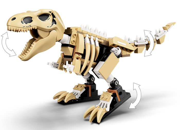 Expozitia de fosile de T. Rex [7]