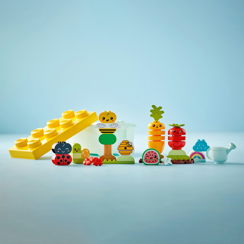 Gradina organica [6]