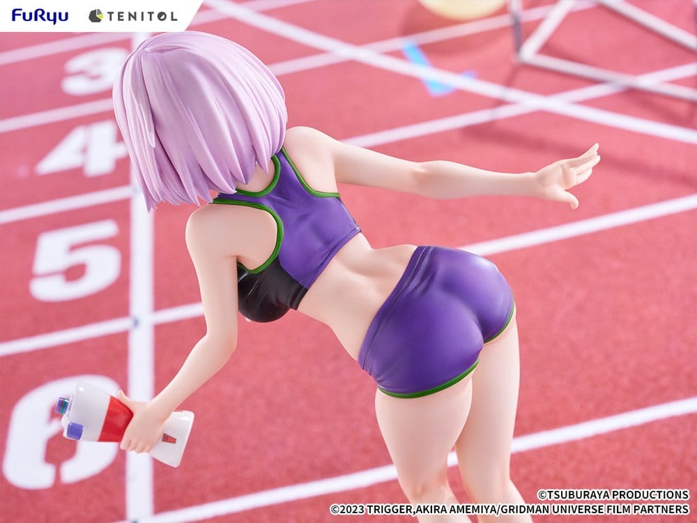 Gridman Universe Tenitol Tall PVC Figure Akane Shinjo Sportswear Ver. 28 cm [16]