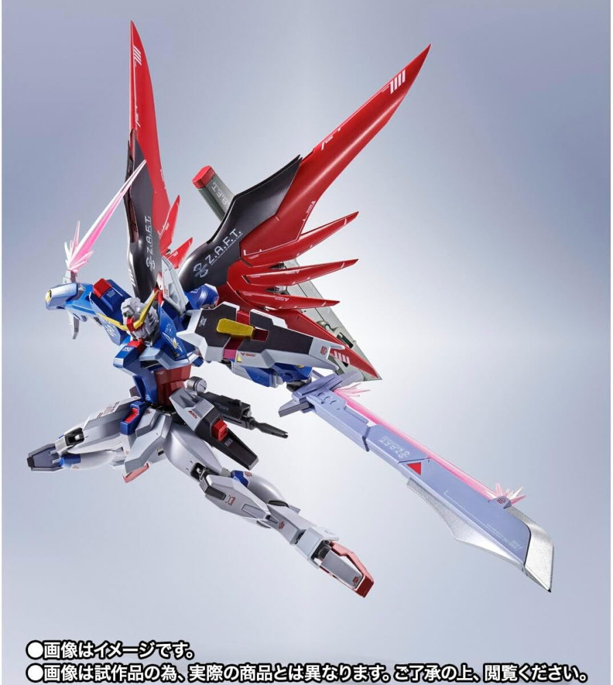 Gundam Metal Robot Spirits Destiny ReCoordinate [6]