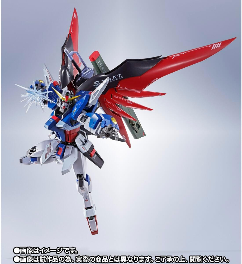 Gundam Metal Robot Spirits Destiny ReCoordinate [8]