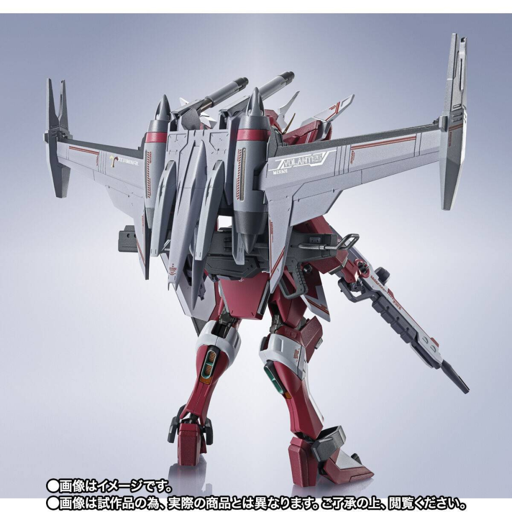 Gundam Metal Robot Spirits Infinite Justice Type II [3]