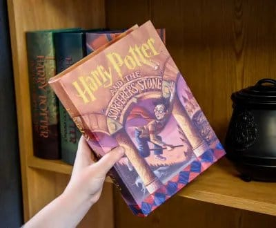 Harry Potter and the Sorcerer's Stone Storage Box [4]