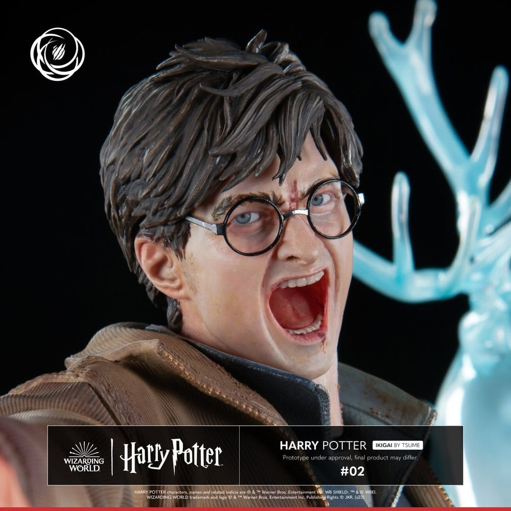 Harry Potter IKIGAI Figure 1/6 30 cm [2]