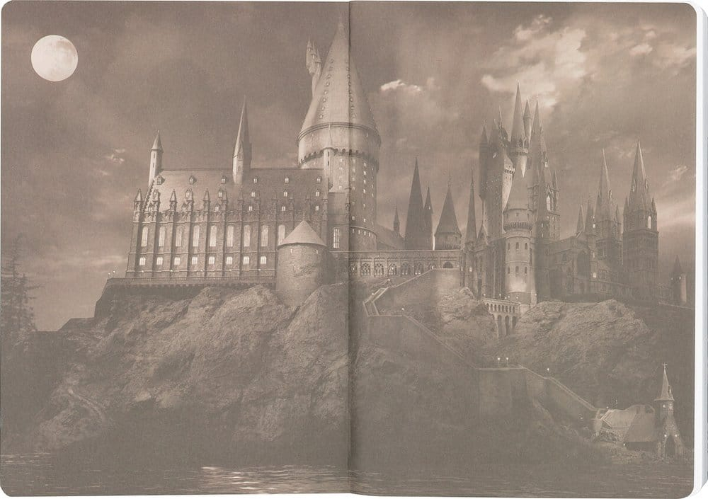 Harry Potter Softcover Notebook Hufflepuff 21 cm [7]