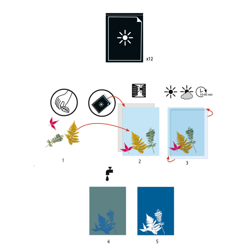 Hartie cianotip, Djeco [2]