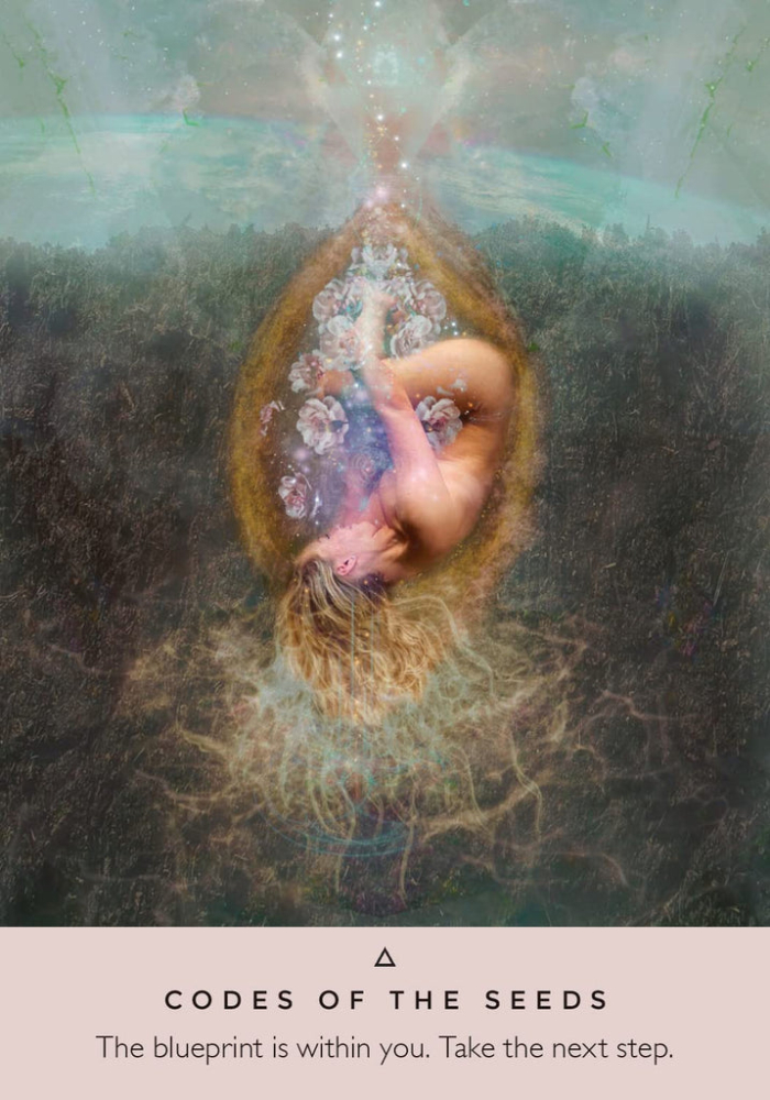 Hay House - The Rose Oracle Cards [2]