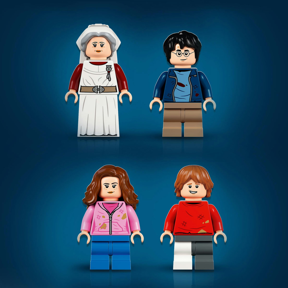 Hogwarts: Aripa Spitalului [10]