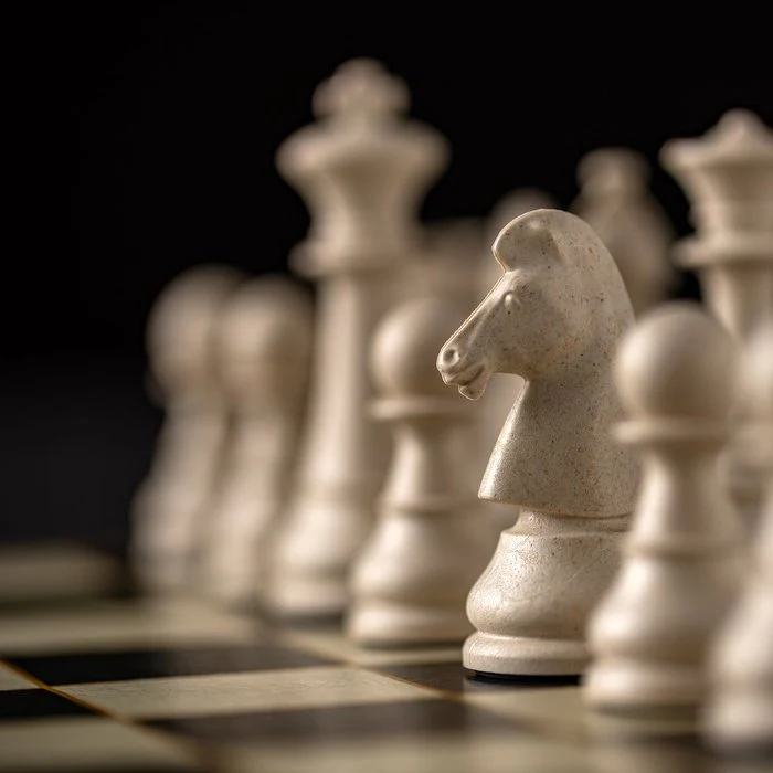 Joc de sah WPC Classic – Set sah profesionist portabil [5]