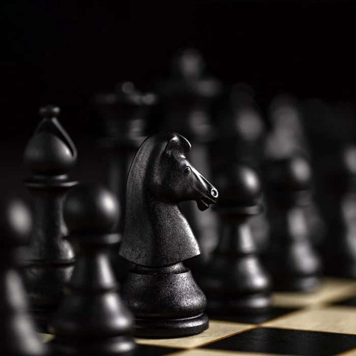 Joc de sah WPC Classic – Set sah profesionist portabil [4]