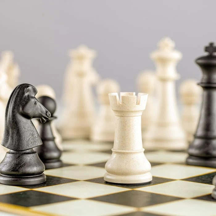 Joc de sah WPC Classic – Set sah profesionist portabil [6]