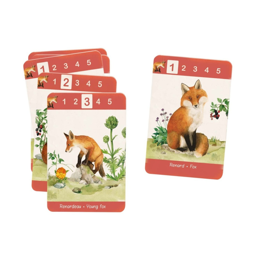 Joc de strategie Happy families, Moulin Roty [2]