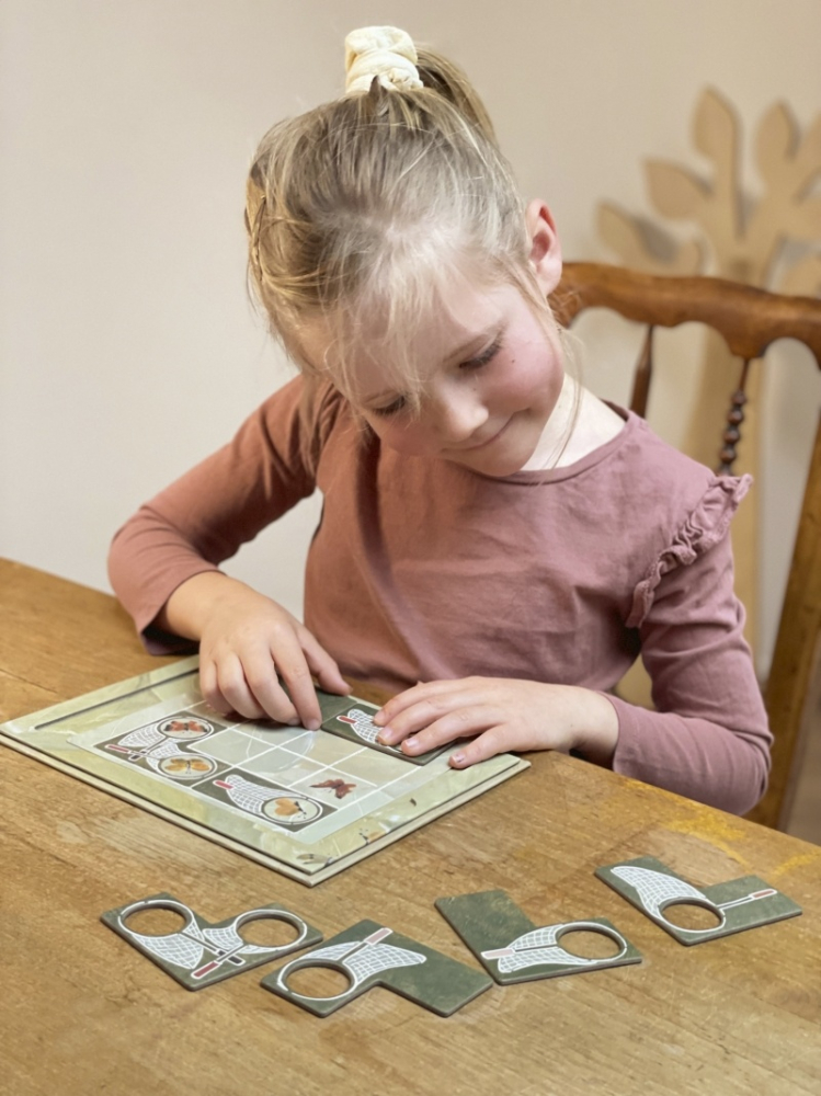 Joc magnetic Fluturi, Egmont Toys [2]