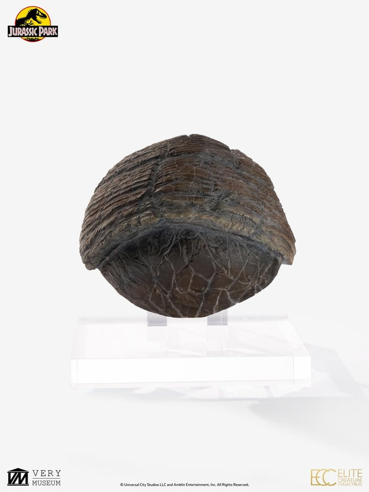Jurassic Park 1/1 Replica Triceratops Toenail 16 cm [3]