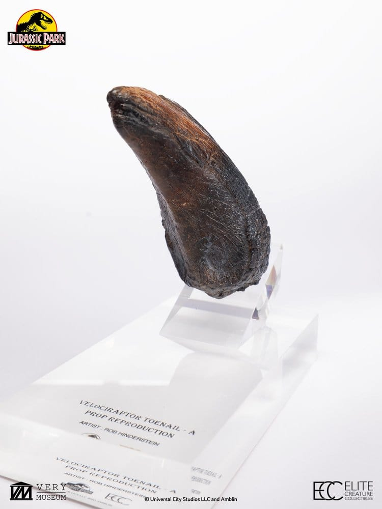 Jurassic Park 1/1 Replica Velociraptor Toenail Type A 11 cm [3]