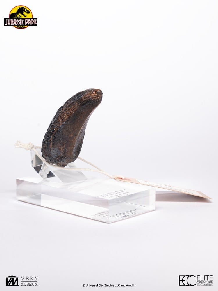 Jurassic Park 1/1 Replica Velociraptor Toenail Type A 11 cm [6]