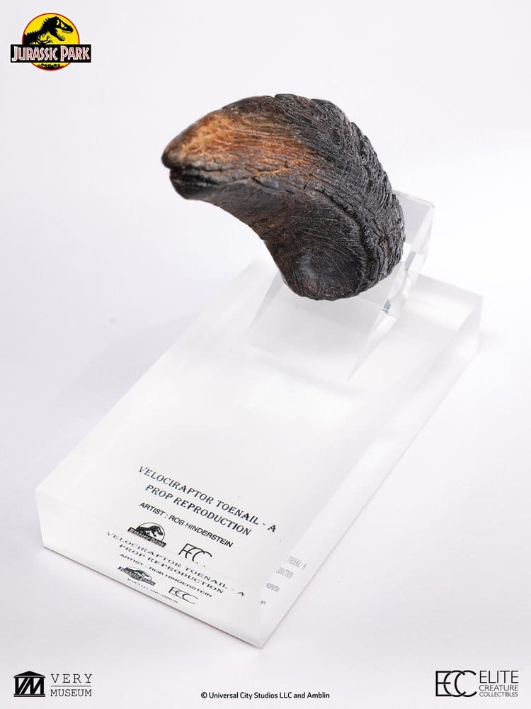 Jurassic Park 1/1 Replica Velociraptor Toenail Type A 11 cm [2]