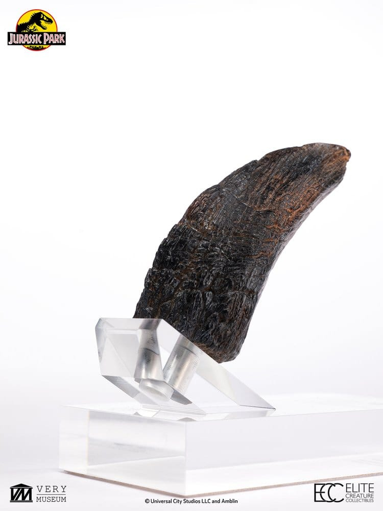 Jurassic Park 1/1 Replica Velociraptor Toenail Type A 11 cm [5]