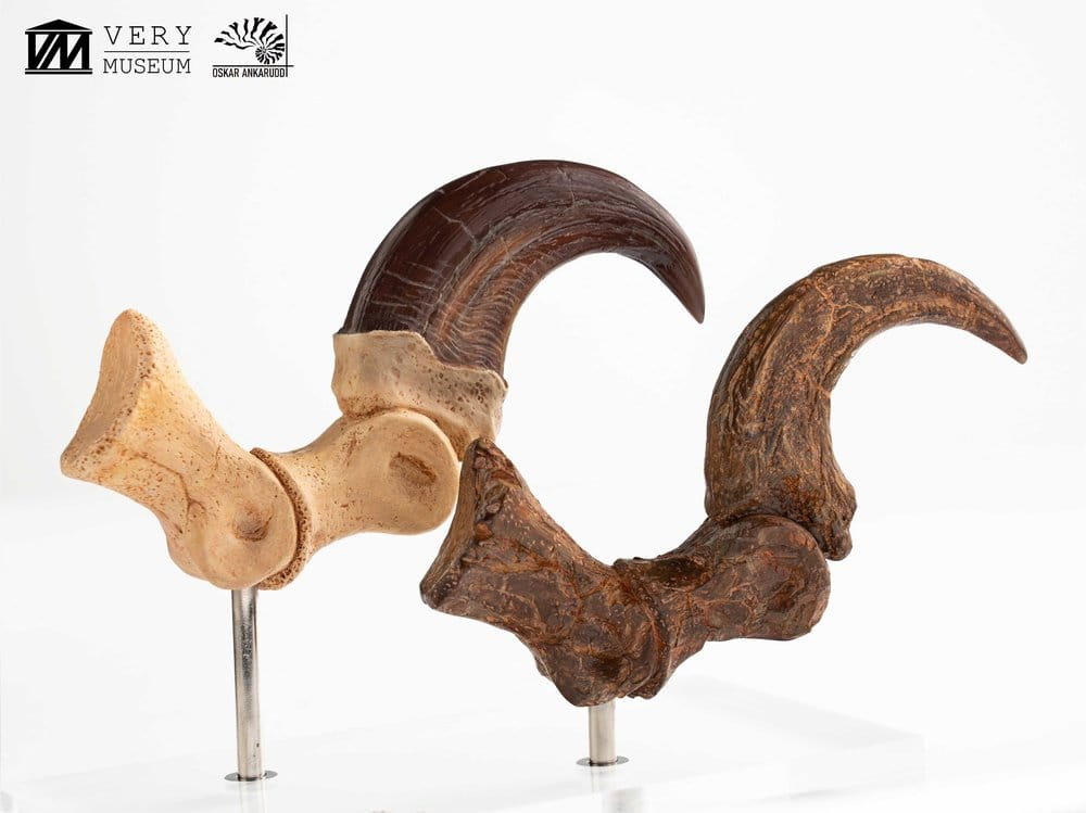 Jurassic Park ECC Elite Creature Line Statue Velociraptor Foot Claw and Fossil Claw Set 20 cm [2]