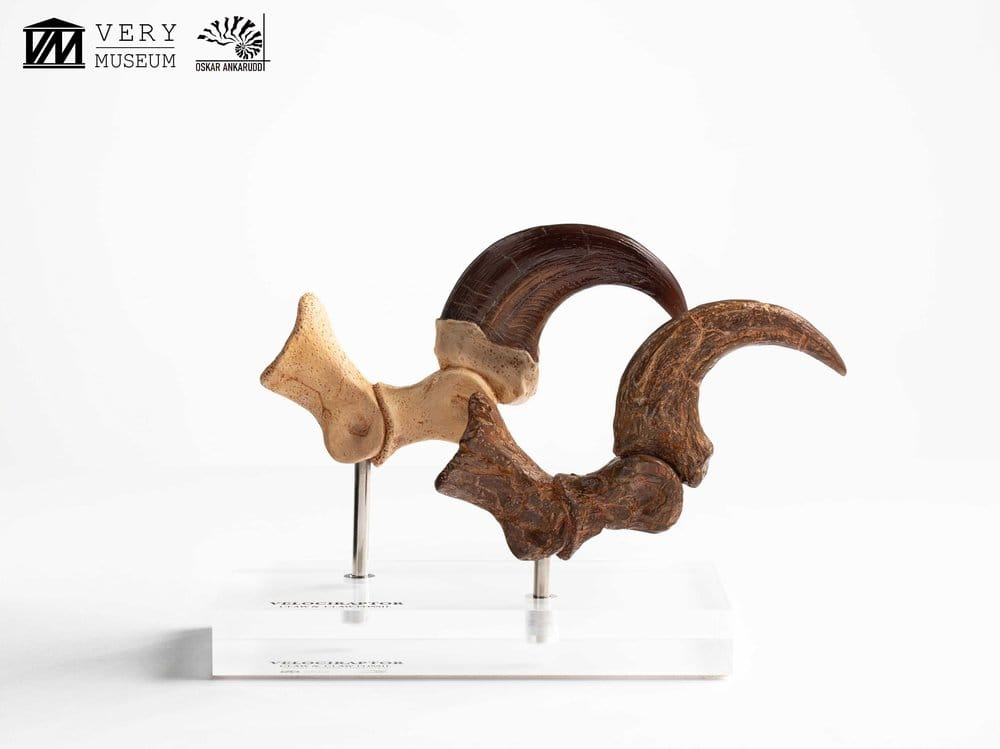 Jurassic Park ECC Elite Creature Line Statue Velociraptor Foot Claw and Fossil Claw Set 20 cm [3]