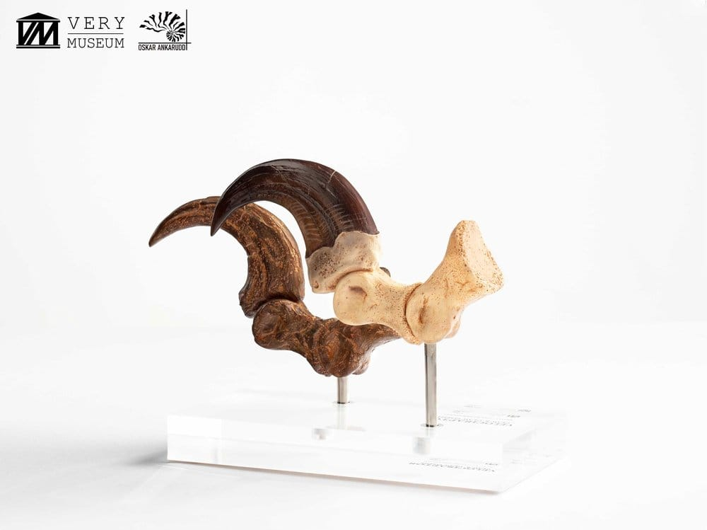 Jurassic Park ECC Elite Creature Line Statue Velociraptor Foot Claw and Fossil Claw Set 20 cm [10]