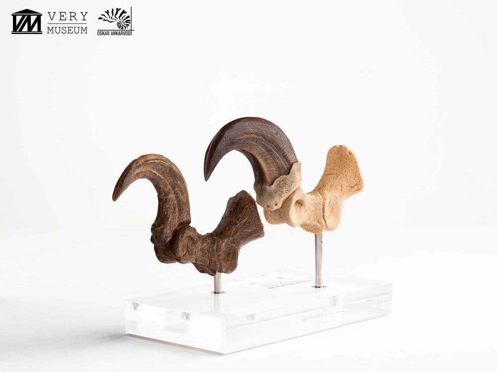 Jurassic Park ECC Elite Creature Line Statue Velociraptor Foot Claw and Fossil Claw Set 20 cm [8]