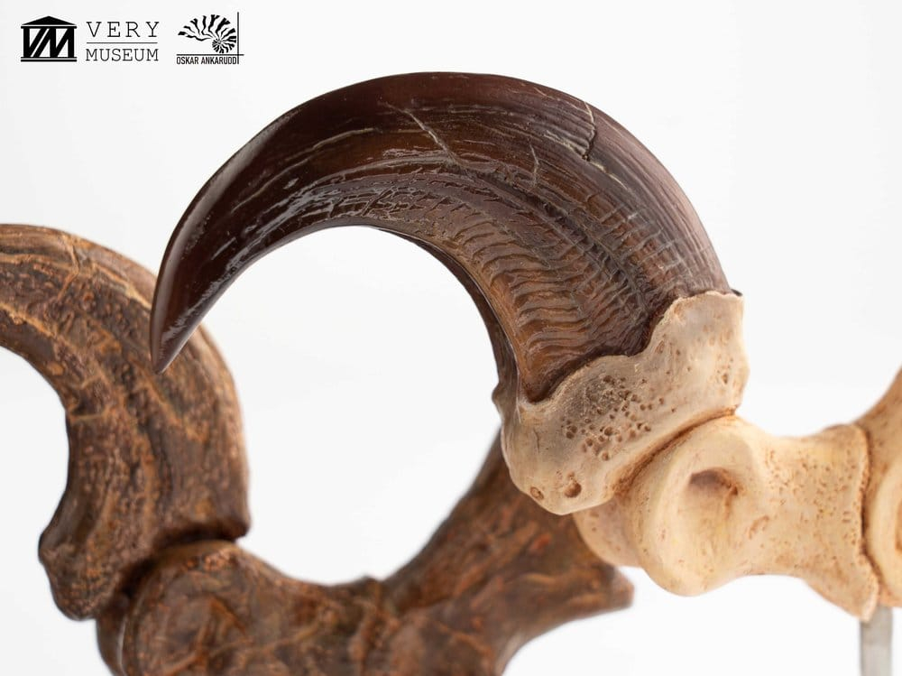 Jurassic Park ECC Elite Creature Line Statue Velociraptor Foot Claw and Fossil Claw Set 20 cm [6]